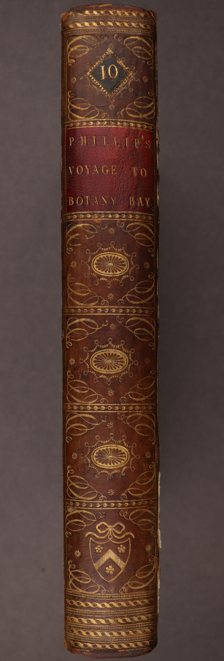 Spine